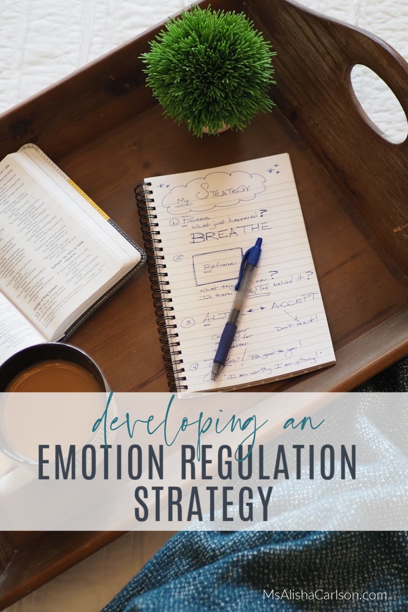Journal of an Emotion Regulation Strategy